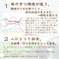 いちごミルクいちごアイス1個職人が1つ1つ手作り別途送料国産いちご越後姫/新潟県産牛乳/安心安全定植後化学農薬不使用苺/アイス/農園直送/厳選素材/ストロベリー/ホワイトデー
