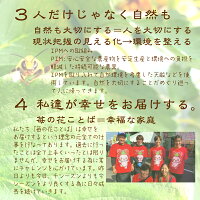 いちごミルクいちごアイス1個職人が1つ1つ手作り別途送料国産いちご越後姫/新潟県産牛乳/安心安全定植後化学農薬不使用苺/アイス/農園直送/厳選素材/ストロベリー/ホワイトデー
