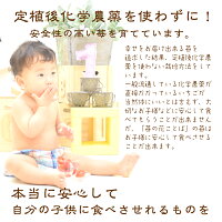 いちごミルクいちごアイス1個職人が1つ1つ手作り別途送料国産いちご越後姫/新潟県産牛乳/安心安全定植後化学農薬不使用苺/アイス/農園直送/厳選素材/ストロベリー/ホワイトデー