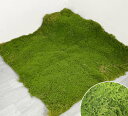 人工観葉植物 モスマット 100x100cm 壁面緑化 ウォールグリーン フェイク苔 装飾材 室内外対応 DIY ガーデニング インテリアグリーン