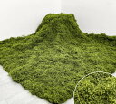 人工観葉植物 モスマット 100x100cm 壁面緑化 ウォールグリーン フェイク苔 装飾材 室内外対応 DIY ガーデニング インテリアグリーン