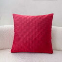 クッションカバー 45x45cm 2枚セット 北欧風 ベルベット シンプル インテリア 軽量 洗える 可愛い ウイング柄 リラックス空間 ソファー用