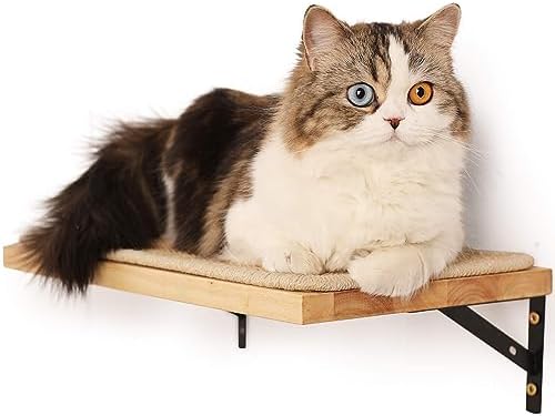 壁掛け式猫用ステップ キャットウォーク 木製 取り付け簡単 高品質 耐久性 ペット用品 猫のためのジム