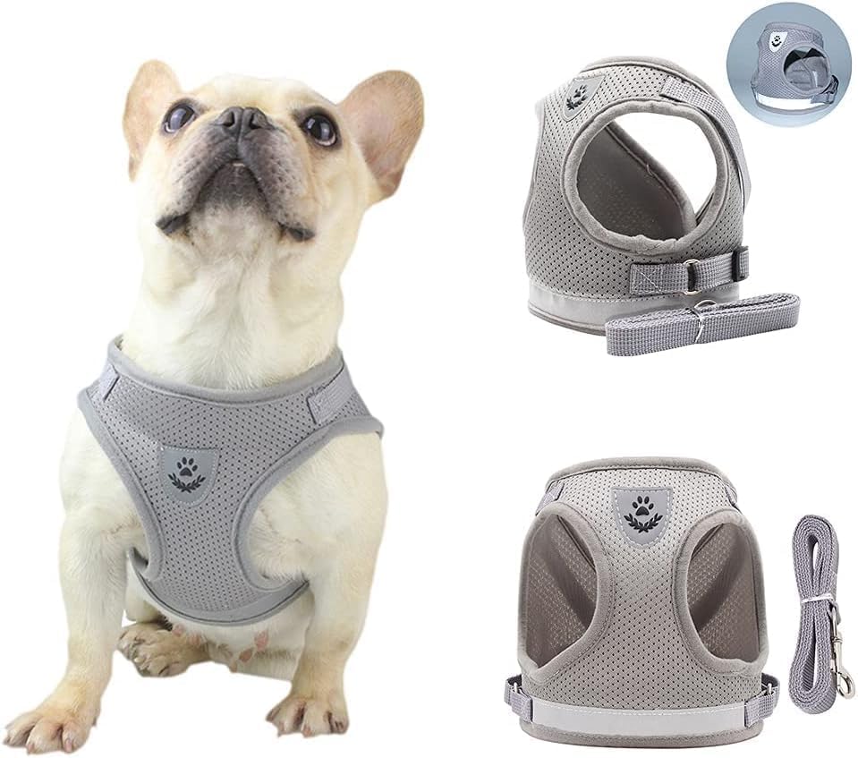 メッシュ 犬用 ハーネス 胴輪 反射素材付き リード セット 超小型犬 小型犬 子犬 猫 散歩・訓練・お出..
