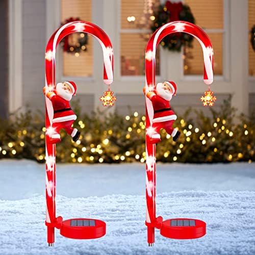 楽天市場】キャンディケーン（花・ガーデン・DIY）の通販