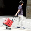 【スーパーSALE期間ポイント5倍】 武田コーポレーション ...
