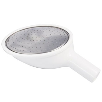 【送料込】 ハスの実　大