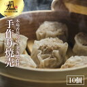 【札幌の名店・受賞多数！】175°焼売　10個 175°DENO担担麺 点心 人気 簡単 作り方 レシピ 本格 東京 有名店 食べログ おすすめ 具材 冷凍 取り寄せ お祝い プレゼント 贈り物 ギフト 熨斗 のし しゅうまい シュウマイ シューマイ 中華 惣菜 総菜 中華料理