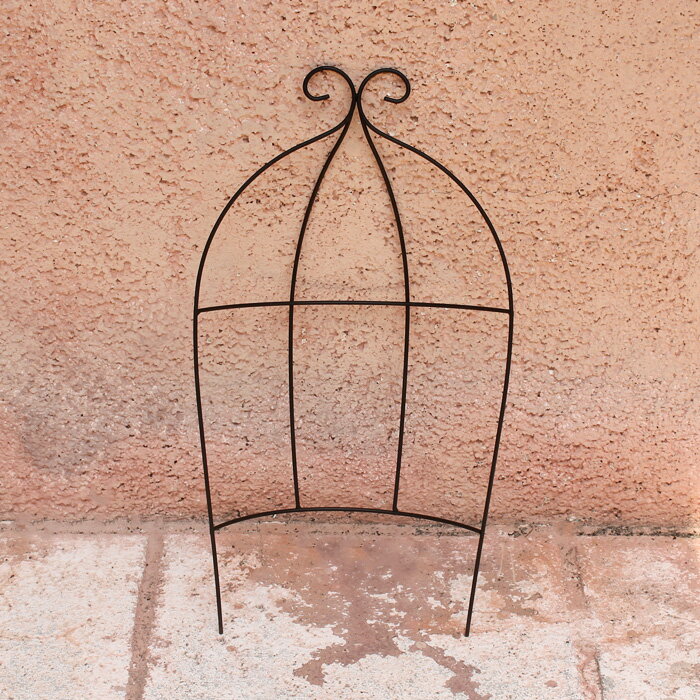 [��˥塼����]ȭ�ˤ����� �����ǥ˥� �ߥ˥ȥ�ꥹ �Х롼��