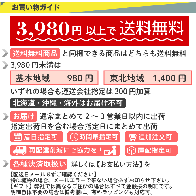 【10月出荷】濃密八重咲き オリエンタル百合 ウェーブライダー 球根 1球絵袋入（9320） 秋植え球根[秋球根予約]