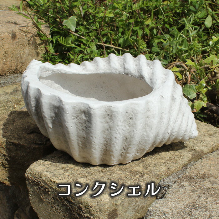 楽天市場】ハンドメイド 貝殻(植木鉢・プランター 楽天市場】ハンドメイド 貝殻(植木鉢・プランター