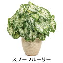 184midori:10005145のサンプル画像2