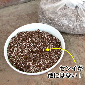 【対象商品】 リース専用こぼれない土 5L [ハンギング専用土・水やり軽減プランター改良土]