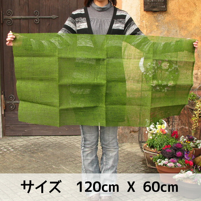 �ڥϥ󥮥󥰥Х����å��ѡۥ����ǥ˥� ���塼���� ���� 60X120