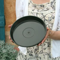 �ڼ������ۥե쥰�顼�ץ졼��24�� 8��ȭ �� ���� �ȥ졼