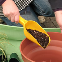 �����ǥ˥� ��������ե� �����å�