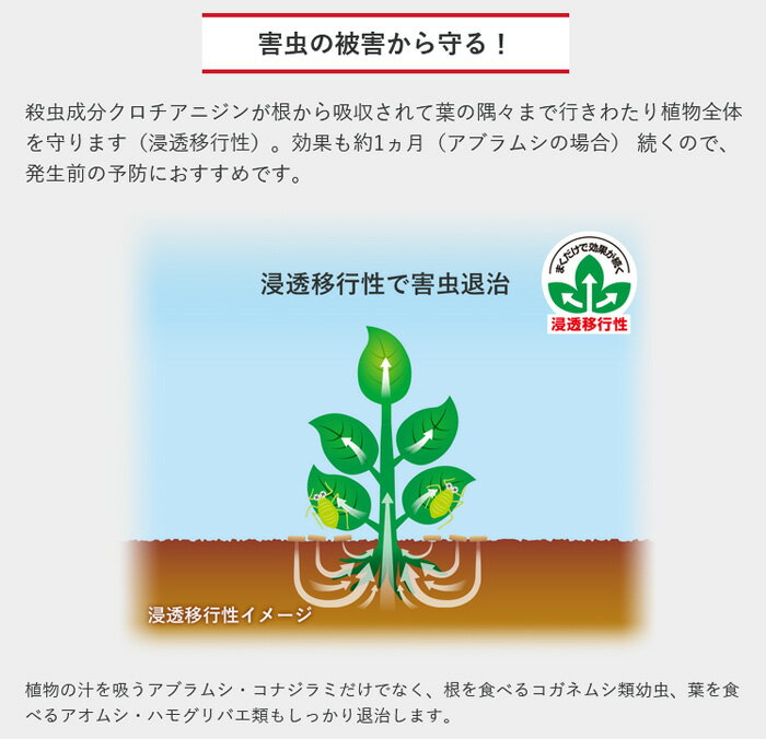 ベニカX ガード 粒剤 550g 徳用 虫 病気 予防 殺虫剤 殺菌剤 粒剤 園芸薬剤