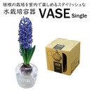 水栽培容器 ヒヤシンス 球根用 VASE Single シングル 1球用(4)