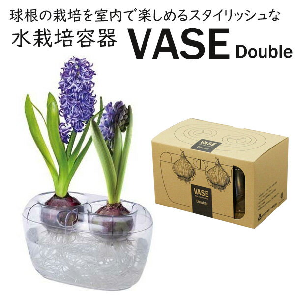 水栽培容器 ヒヤシンス 球根用 VASE Double ダブル 2球用