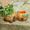 NEW【ハロウィン】かぼちゃ パンプキンポット 底穴有り