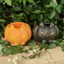 NEW【ハロウィン】キャット ポット キャンドルホルダー 底穴有り