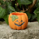 NEW【ハロウィン】パンプキン ジャックオーランタン ポット キャンドルホルダー 底穴有り(CPHW42OR)