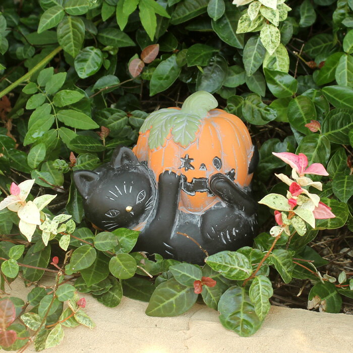 乐天商城 - NEW【ハロウィン】寝転び黒ネコとパンプキン オーナメント 置物 ハロウイン 飾り（CPHW49OR）
