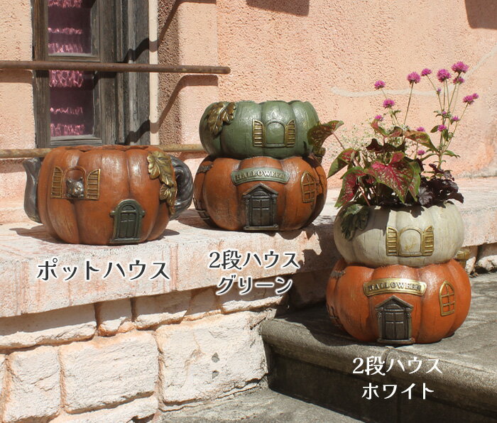 乐天商城 - NEW【ハロウィン】かぼちゃ パンプキンハウスポット ハロウイン 底穴有り 約5～6号