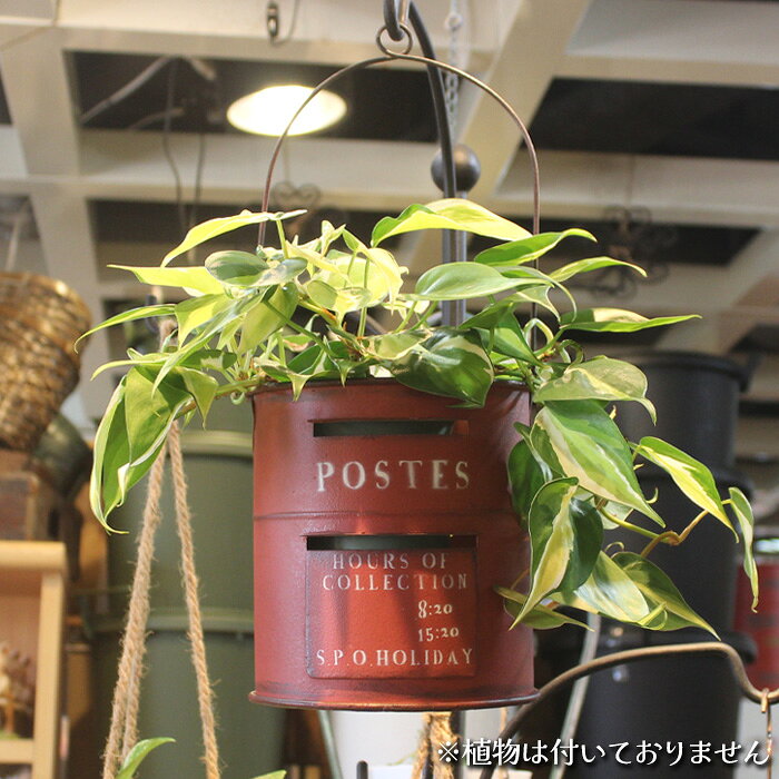 楽天市場】ポスト（植木鉢・プランター｜ガーデニング・農業）：花
