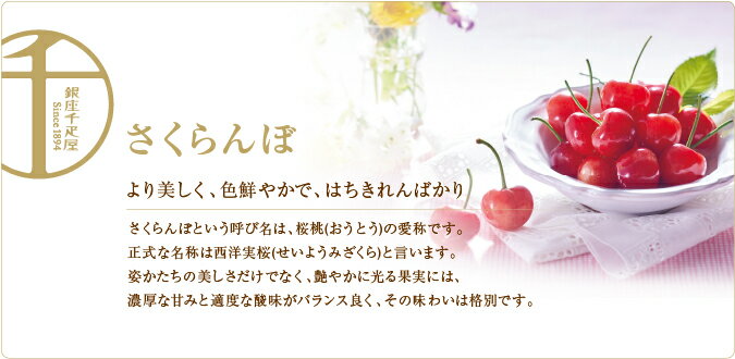 楽天市場 銀座千疋屋特選 さくらんぼ 300g 千疋屋 フルーツ ギフト 内祝い お中元 銀座千疋屋