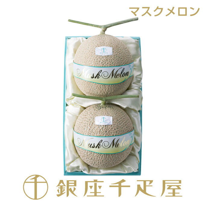 銀座千疋屋　マスクメロン (化粧箱) 2個入（各約1.3kg〜）No.38［送料無料］［ポイント2倍］～ 父の日 お中元 メロン ギフト 贈り物 フルーツ スイーツ プレゼント お菓子 内祝い 誕生日 お祝い 御礼 快気内祝 お見舞い 送料無料 千疋屋 ～