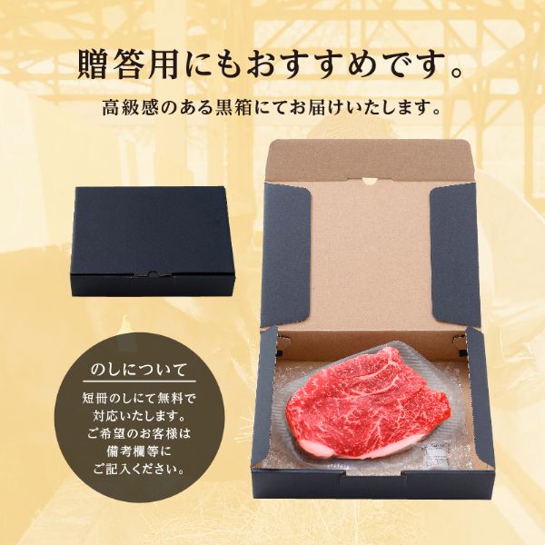 A4/5��� �����µ� �ֿ� ���ơ��� 150g 1��2���� (���µ� ���� �����µ� ���� ��� ���ơ���) ���ե� ��� �������� ������ ���渵 ���� ������