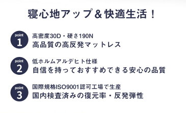 マットレス ダブル 高反発 30Dウレタン マットレストッパー ダブル〔A〕