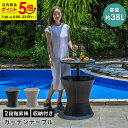 【ポイント5倍★7/20 0:00~23:59】ガーデンテーブル 屋外 テーブル ドリンク アイスバケット バーカウンター 昇降 高さ調節 収納付き サイドテーブル パーティー おしゃれ ドリンクボックス ガーデン バー アウトドア カフェ風