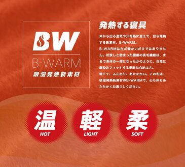 吸湿発熱フランネルキルトボックスSDサイズ あったか 暖かい 洗える B-WARM 肌ざわり抜群 フランネル生地〔A〕