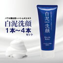 パラオ産白泥がごっそり毛穴の汚れと余分な皮脂を吸着!しっとりスベスベ肌に