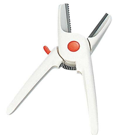 栗くり坊主 2 全長170 業務用 5706000