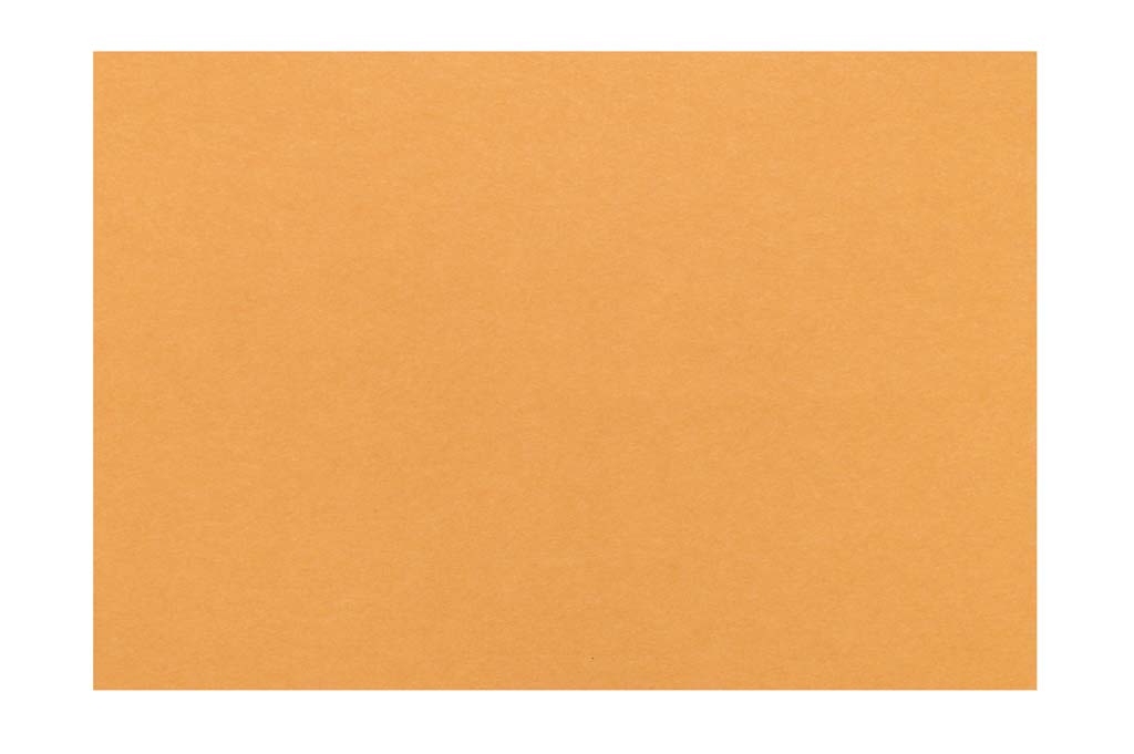 テーブルマット 里紙(100枚入)びわ No.1101 業務用 7834410