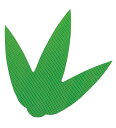 バラン 三枚笹(1000枚入)大 117×114 業務用 7866500