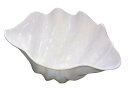 シャコ貝 ホワイト L プラスチック 業務用 2008100