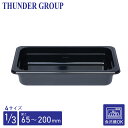 Thunder Group フードパン 1/3 深さ65/100/150/200mm 食洗機対応 頑丈なポリカーボネート製 業務用 ブラック