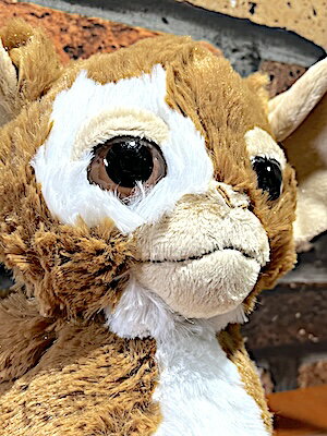 楽天市場】ギズモ ぬいぐるみの通販 楽天市場】ギズモ ぬいぐるみの通販