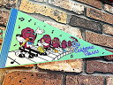 アメリカン雑貨 PENNANT ペナント California Raisins カリフォルニアレーズン GREEN ポスター フラッグ 旗 看板 壁掛け 店舗 ガレージ ディスプレイ パブ バー グッズ(3)