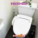 【送料無料】トイレクリーニング　手入れ手洗いクリーニング　洋式トイレ　和式トイレ　黒ずみ　尿石　プロのお掃除　家事代行