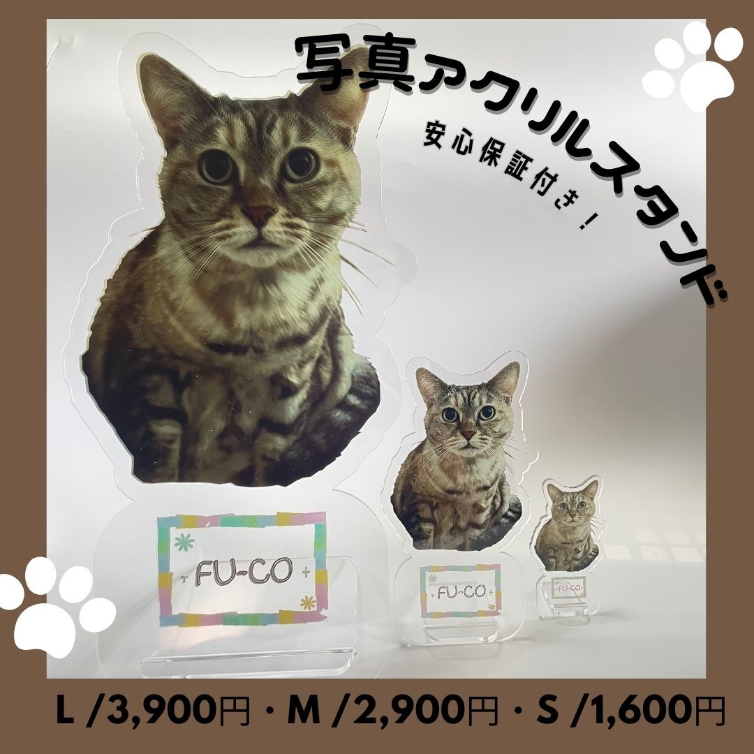 楽天19juuku送料無料 写真アクリルスタンド アクリルスタンド フォトスタンド ペット メモリアル フォトプレート 犬 猫 愛犬 愛猫 メモリアルグッズ グッズ 写真 かわいい オーダーメイド 記念 記念品 ペットロス 写真立て 文字入り フォト 思い出 手元供養