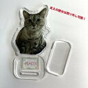 送料無料 写真アクリルスタンド アクリルスタンド フォトスタンド ペット メモリアル フォトプレート 犬 猫 愛犬 愛猫 メモリアルグッズ グッズ 写真 かわい...