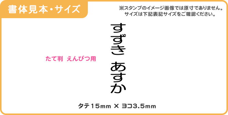ジャンボアイロンゼッケン 1枚 50cm×45cm お徳用 パイオニア 入学入学　スポーツ大会　ゼッケン　体操服　アイロン接着　滲み防止