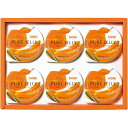 【クーポン配布中】ホリ 夕張メロンピュアゼリー6個入り FUJI62803