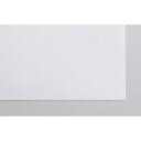 【クーポン配布中】ARTEC 画用紙 8切 (#200 100枚) ATC11254