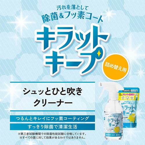 【マラソンでポイント最大46倍】【5個セット】 エレコム 汚れを落として除菌&フッ素コートキラットキープ HA-CKKC250SPX5 2